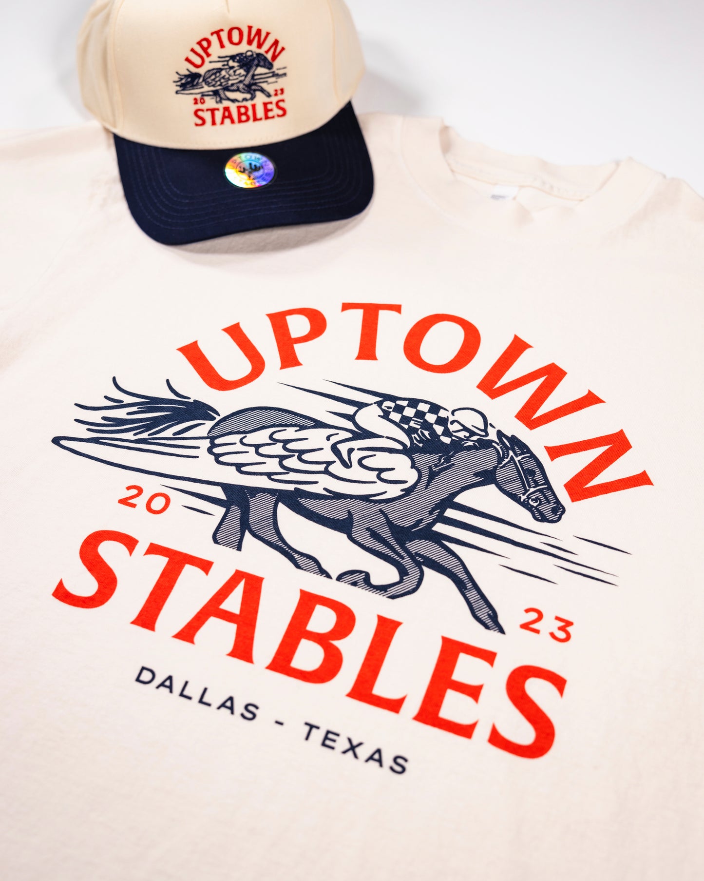 Uptown Stables Pegasus Oversized T-Shirt